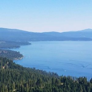 Meet your Posher, Ava